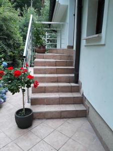 un escalier avec des fleurs rouges dans un pot dans l'établissement Apartma Dolomiti, à Ljubljana