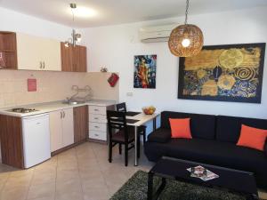 Il comprend un salon avec un canapé et une cuisine. dans l'établissement Dubrovnik Summer Apartments, à Dubrovnik