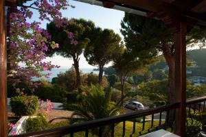 a balcony with a view of the ocean and trees at Villa Anna Maria in Agia Paraskevi
