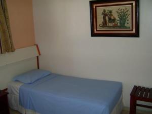 a bedroom with a bed and a picture on the wall at Hotel Urubupunga in Ilha Solteira