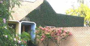 a brick house with pink flowers in front of it at Hotel Urubupunga in Ilha Solteira