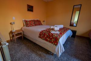 1 dormitorio con 1 cama grande y espejo en Apart Guillaumet en El Chaltén
