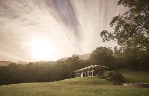 a house on top of a grassy hill with a tree at Bundaleer Architect designed stunning views in Kangaroo Valley