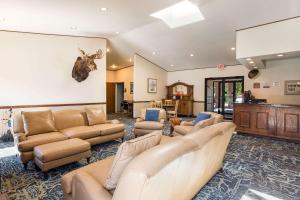 a large living room with couches and a wall at Quality Inn Petoskey-Harbor Springs in Petoskey