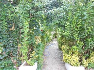 Φωτογραφία από το άλμπουμ του La Mesnadita σε Olmedo +20 φωτογραφίες