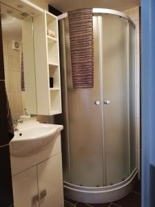 y baño con ducha y lavamanos. en Apartma Natura Kope en Šmartno pri Slovenj Gradcu