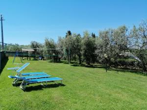 A garden outside Podere San Pierino