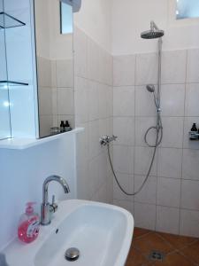a bathroom with a white sink and a shower at Mathilde in Ybbs an der Donau