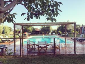 una piscina con mesa de picnic y sillas junto a ella en Agriturismo Il Puntoncino en Marsiliana