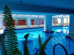 Imagen de la galería de Apartments Ana Wellness, en Rovinj