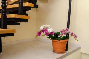 Fotografie z fotogalerie ubytování Hotel S.R v destinaci Tbilisi City