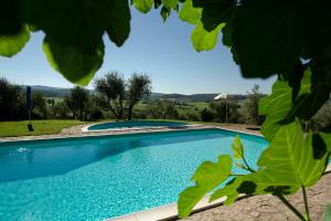 uma piscina num quintal com árvores em StageROOM03 - Chianti em Castellina in Chianti