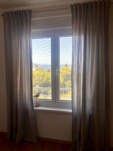 Fotografie z fotogalerie ubytování Sea View Kozino v destinaci Kožino