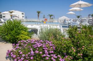 Evelyn Hotel في ستافروس: حديقة بها زهور وردية أمام حمام السباحة