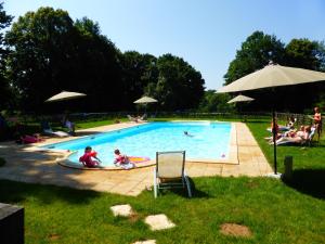 a swimming pool with people sitting in the grass at Château de Mavaleix in Chaleix