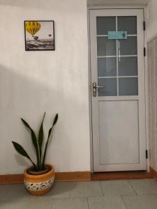 罗斯希尔柠檬屋的相册照片