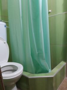 a bathroom with a toilet and a blue shower curtain at Forester in Jošanička Banja