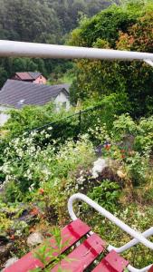 Aed väljaspool majutusasutust Alpen Panorama view Luxury House with green Garden