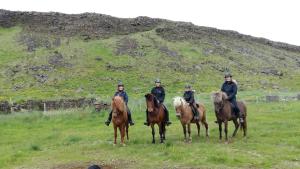 a group of people riding horses in a field at Cora´s House & Horses in Ölfus