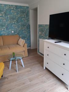 Pension Altes Forstamt في ايبرسوالده فيناو: غرفة معيشة مع أريكة وتلفزيون على خزانة