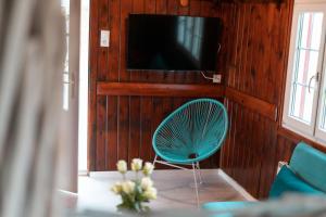 Telewizja i/lub zestaw kina domowego w obiekcie Donau Strandhaus mit Dürnstein Panorama