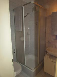 a bathroom with a shower and a toilet and a sink at Studio à Sion in Sion