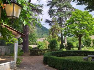 einen Garten mit einer Lampe, Büschen und Bäumen in der Unterkunft Le Jardin Secret in Saint-Antonin