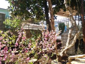 a garden with pink flowers in front of a fence at Apartments villa MaVeRo in Banjole