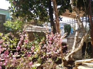 einen Garten mit rosa Blumen vor einem Zaun in der Unterkunft Apartments villa MaVeRo in Banjole