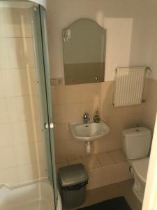 a bathroom with a sink and a toilet and a mirror at Saules Kvartāls in Ventspils