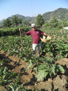 Foto de la galería de Agriturismo Parra en Santa Lucia del Mela