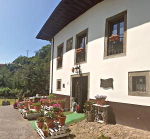 a white building with potted plants in front of it at Hotel Rural Palacio de Galceran in Sotiello