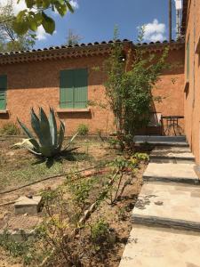 a plant in front of a brick building at Annexe Bastide du Paradou in Moustiers-Sainte-Marie
