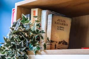 a shelf with books and a potted plant on it at ibis Calais Car Ferry in Calais