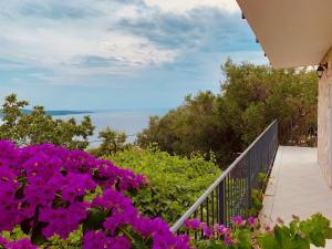 Ảnh trong thư viện ảnh của Summer house Villa Margarita ở Zavala