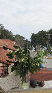 Fotografie z fotogalerie ubytování Mandola Del Mare v destinaci Skála Kefalonia