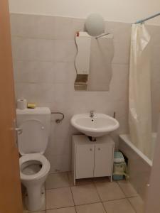 ウィーンにあるThe White Apartmentのバスルーム(トイレ、洗面台付)