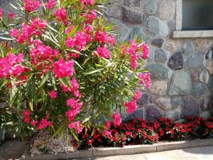 A garden outside Home Iseo Lake