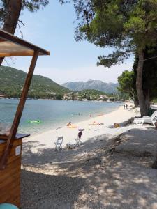 eine Gruppe von Menschen an einem Strand in der Nähe des Wassers in der Unterkunft Apartman Astra in Ploče