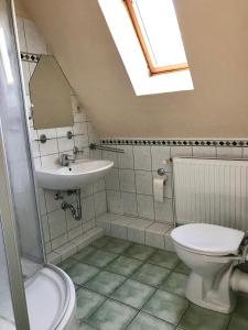 a bathroom with a toilet and a sink and a skylight at Hafenapartments Zingst in Zingst