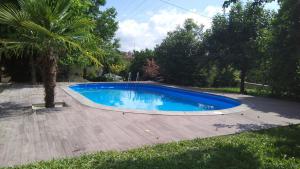 una piscina in un cortile con una palma di Sweet Home Braga Hostel & Guest House a Braga