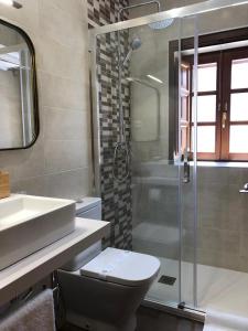 a bathroom with a shower and a toilet and a sink at El Cuartel del Rio Dulce in Mandayona