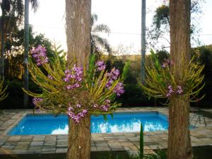 בריכת השחייה שנמצאת ב-Hotel Fazenda Bandeirantes או באזור