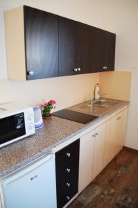 a kitchen with a sink and a microwave at Apartments Kolmanic, sea view, free privat parking in Ičići