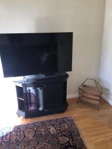 a living room with a large flat screen tv at Anna & Ida in Reichenau