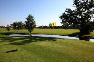 モンブリゾンにあるLes Étoiles Du Forezの緑の中に池があるゴルフ場