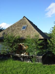 ein Haus mit einem Fenster an der Seite in der Unterkunft Casa Pintea - Bucovina in Kloster Humor