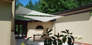 A garden outside Villa Belfiore