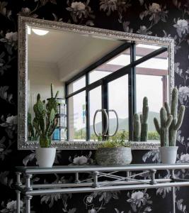 a mirror on top of a shelf with cactus at The Lodge at Atlantic Beach in Melkbosstrand