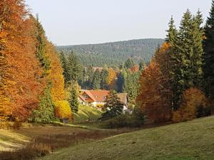 倫斯泰格地區施米德費爾德的住宿－Ferienhaus am Rennsteig，树木林立的田野中的房子